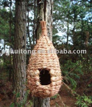 bird care