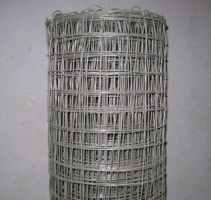 Galvanized Graticule Wire Mesh