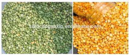 Hot sale Canadian beans green peas peeling machine