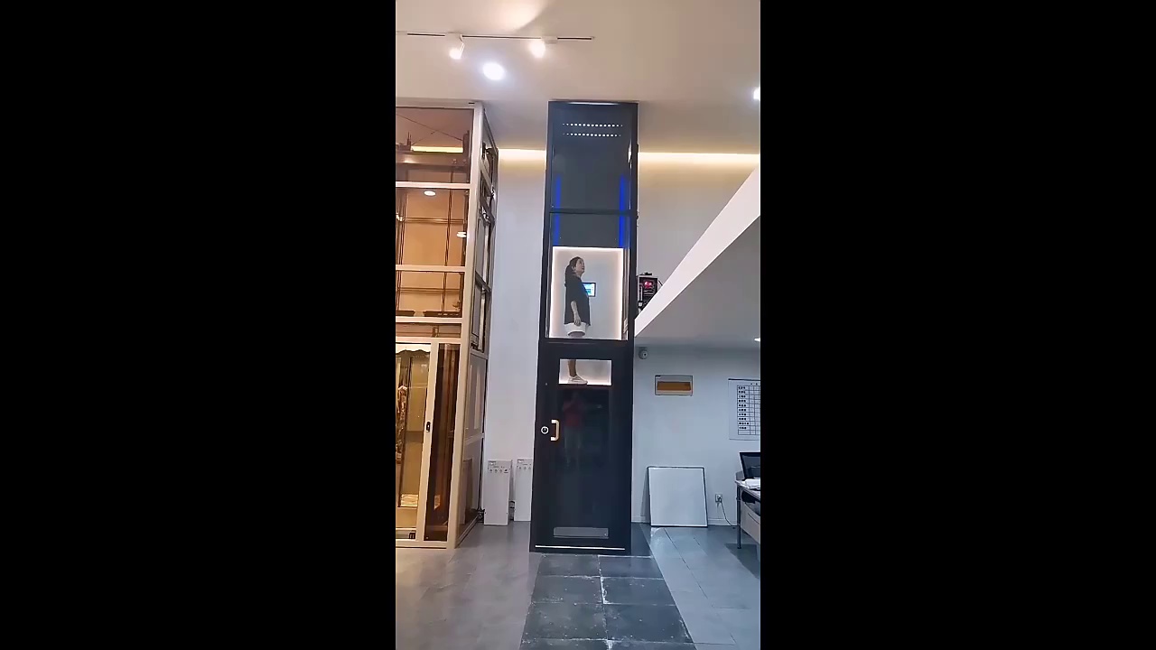 Factory Cheap Passenger Elevator Lift Price No Need Machine Room