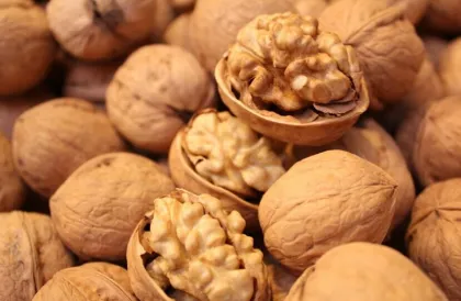 walnut unshelled walnut in shell for sale