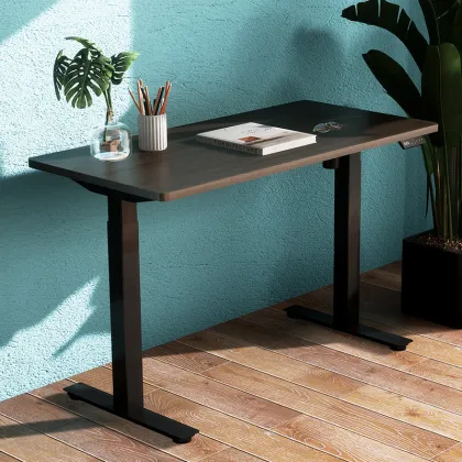 Standing Desk Electric ErgonomicOffice Computer Desk Adjustable Modern Desk