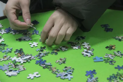 GIBBON Jigsaw Puzzle Spinner