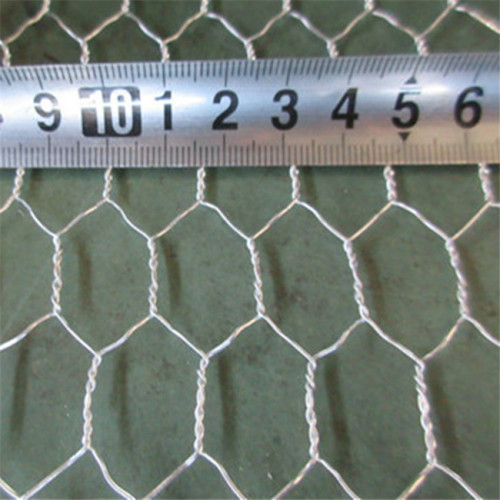 Hexagonal Decorative Galvanized Chicken Wire Mesh