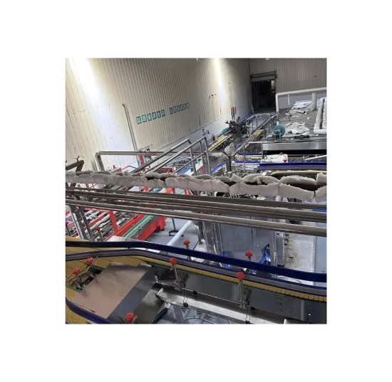 Beer Manufacturing Equipment: Brewery and Bottling Line Solutions