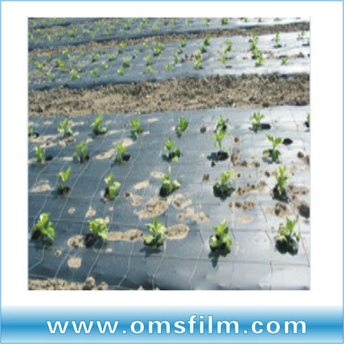 LDPE agricultural plastic ground cover in black