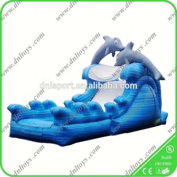 Water park serious Vivid Dolphin giant inflatable water slide