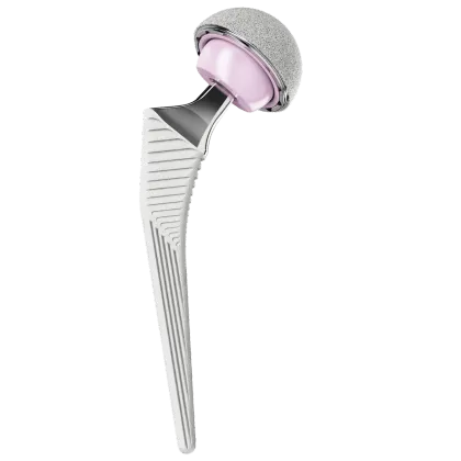 Medical Titanium Implants Veterinary Orthopedic Hip Implant CNC Services