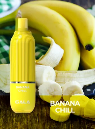 Elf Electric Car/Battery Car/Electric Vehicel