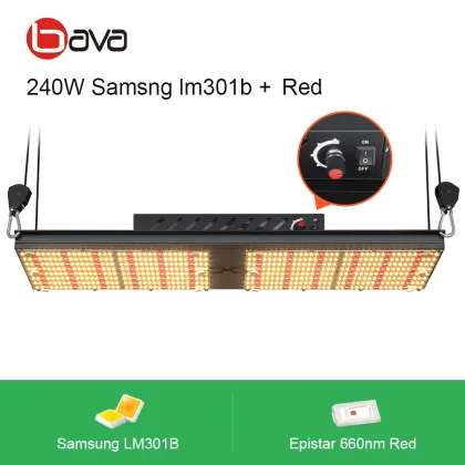 Shen Zhen Bava Green 240W Adjustable Dimmable Samsung LM301B LED Grow Lights for Greenhouse and Indoor Plant Growth