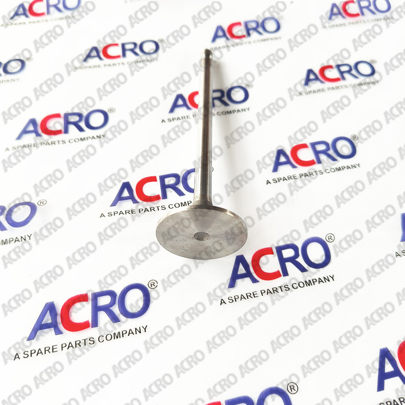 3970727_intake valve_CUMMINS (3)_