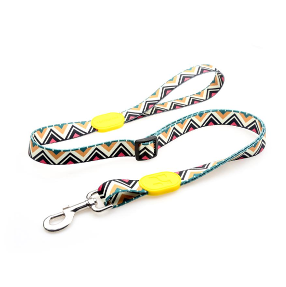 Full Color Polyester Dog Leash