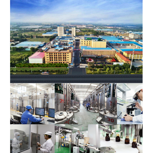 China Prebiotics Xylooligosaccharide powder Regulating intestinal Manufactory