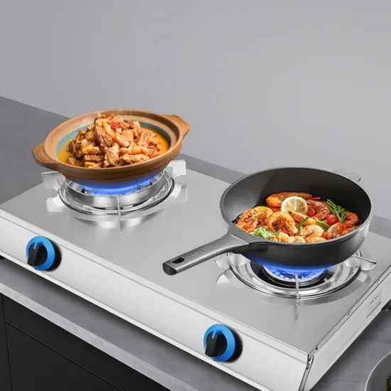 Hot Sale: Dual Biogas Stove Burner - Customizable 2 Stove Biogas Hob Cooktop