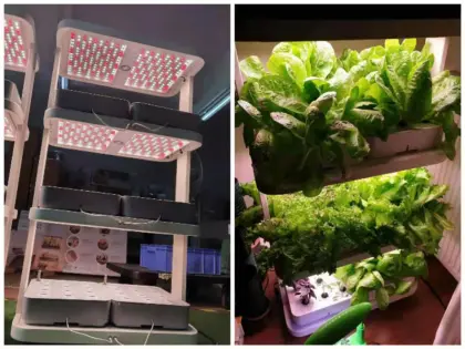 Sun Greenhouse Vertical Plant Hydroponic Grow Systems with LED Lights