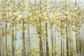 Ελαιογραφία επιχρυσωμένα δάσος σημύδας