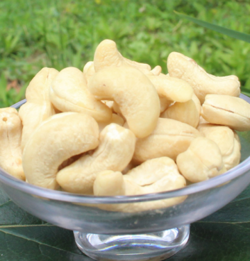 Vietnam dried raw cashew nuts