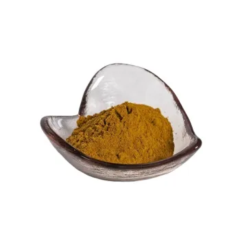 Factory Supply High Quality Ganoderma Lucidum Polysaccharides 40% Extract Powder Reishi Mushroom extract