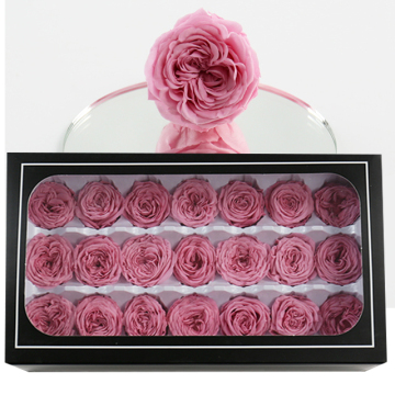 Großhandel Austin Rose Head Mini Grad 2-3cm Real Touch Ewige Blüten