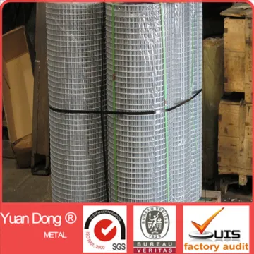 galvanized welded wire mesh panel chicken cage