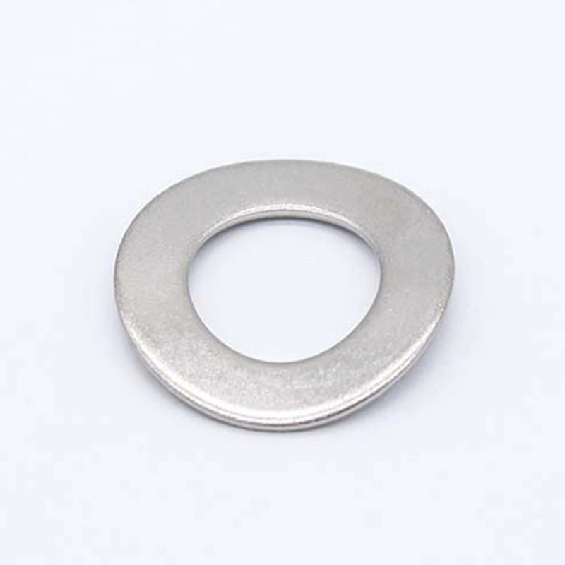 DIN137B stainless steel wave washer China Manufacturer