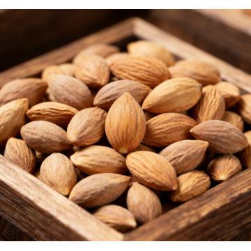 Semen pruni extract powder natural