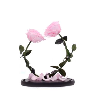 Medium Prince 2 Preserved Rose Glass Dome