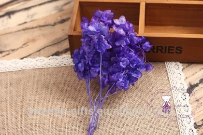 preserved butterfly flower