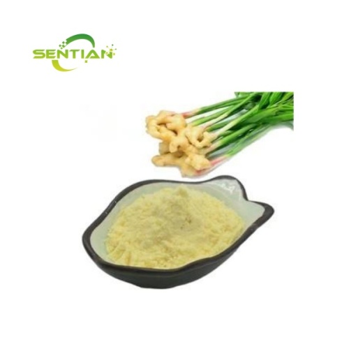Natural Gingerol 1%-20% Ginger root extract Powder