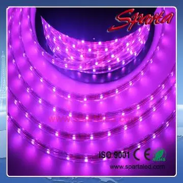50 50 rgb led strip 220v waterproof IP66