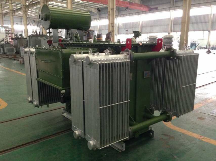 oil immersed distribution transformer 06