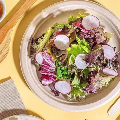 Biodegradable Dinner Plate Sugarcane Bagasse Paper Plates