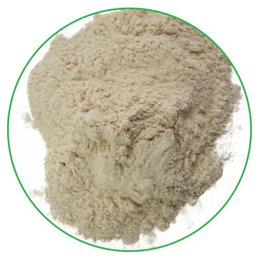 organic rice protein isolate