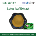 Lotus Folha Extrato Nuciferina 2%