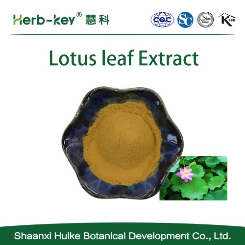 Herbal Extract Apigenin Lotus leaf Extract Nuciferine 2% Factory