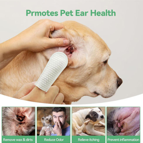 प्रभावी पालतू दंत चिकित्सा सफाई फिंगर खाट