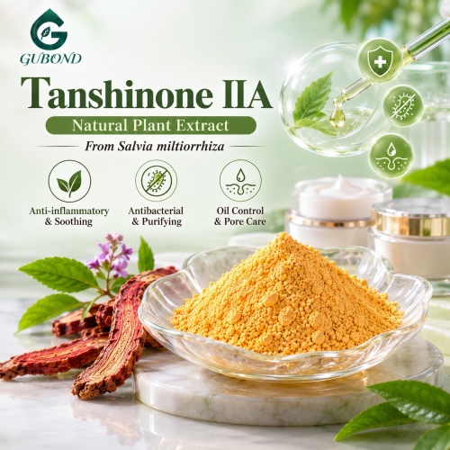Tanshinone IIA 5% –98% HPLC Extrato de raiz de Salvia miltiorrhiza