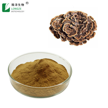 Natrual plant Turkey Tail Mushroom Extract
