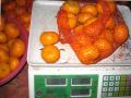 Harga Borong Bayi Mandarin dengan Kualiti Baik