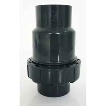 DN65 Chemical Check Valve: PVDF/UPVC/CPVC Material for Industrial Dosing Systems