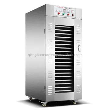 Professional Fruit Drying Equipment & Machines for Industrial Use