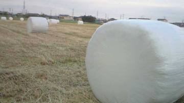 Stretch Wrap Films for Bale Silage