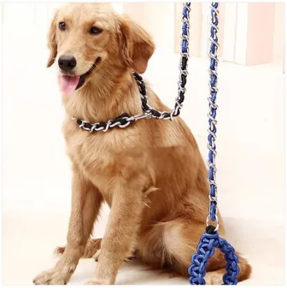 pet accessory/ dog trainning collar chain leash/pet dog leash pet products good quality
