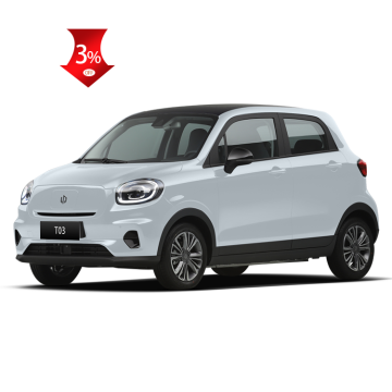 Leap Motor T03 2023/2022 Haoyu New Energy Electric Cars in Stock