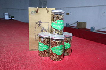 Wholesale Wild Bird Food Mealworm