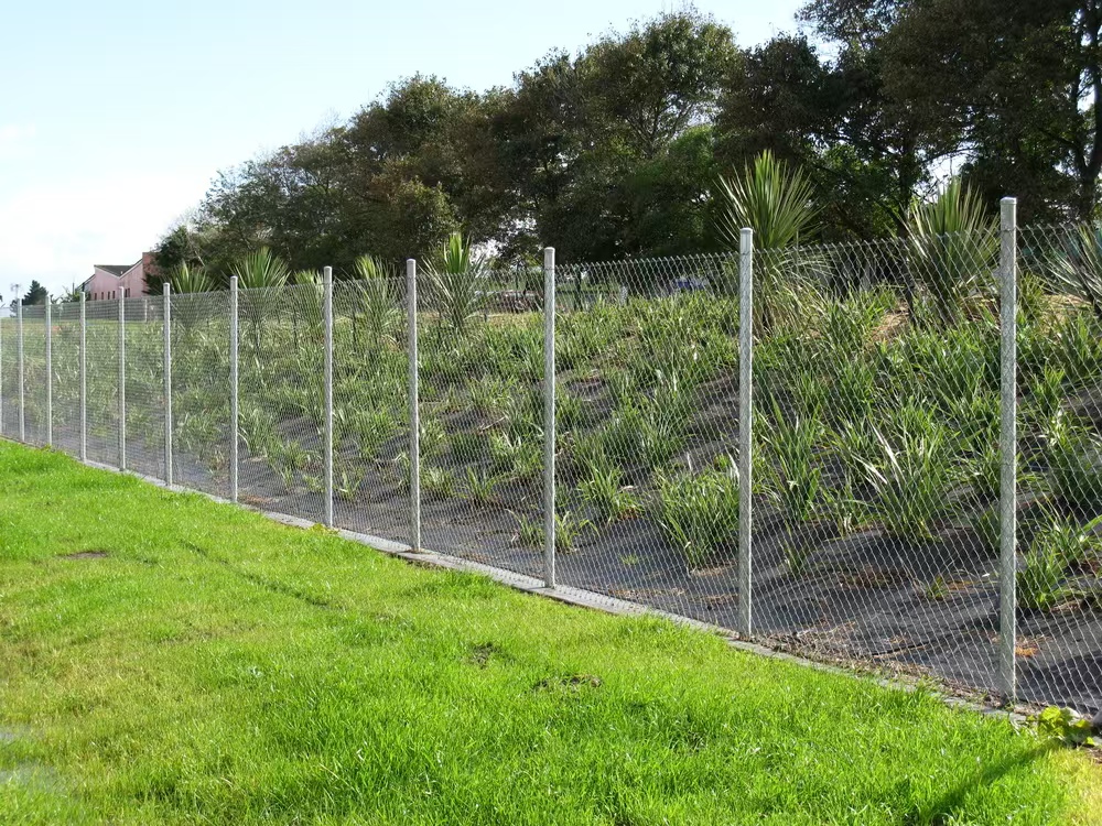 chain link fence (3)