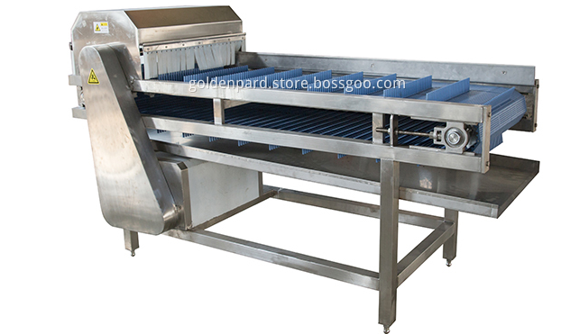 Tuna Processing Line