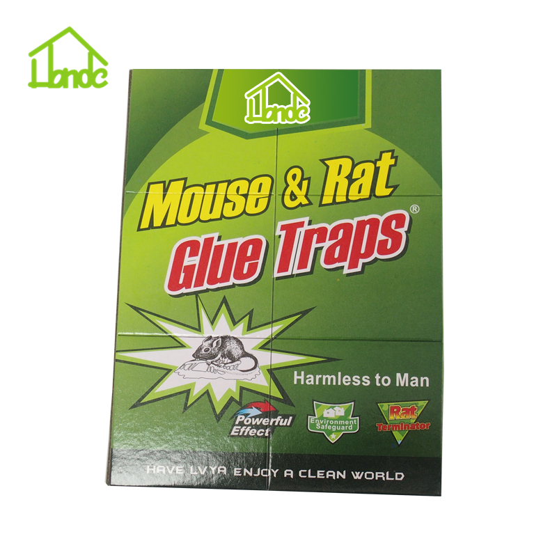 Sticky Paper For Rats