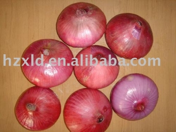 Red Onion