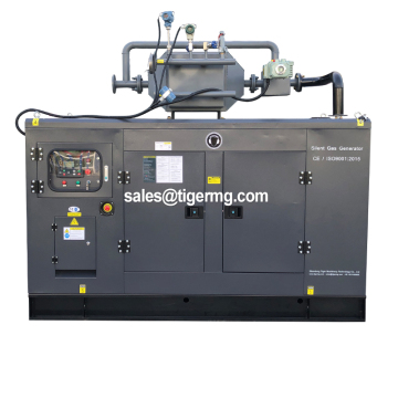 CE & ISO Certified 20kw 25kva Natural Gas/LPG Generator